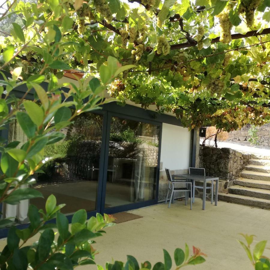 דירות Vitorino dos Piães Casa Na Quinta De Valinhas מראה חיצוני תמונה