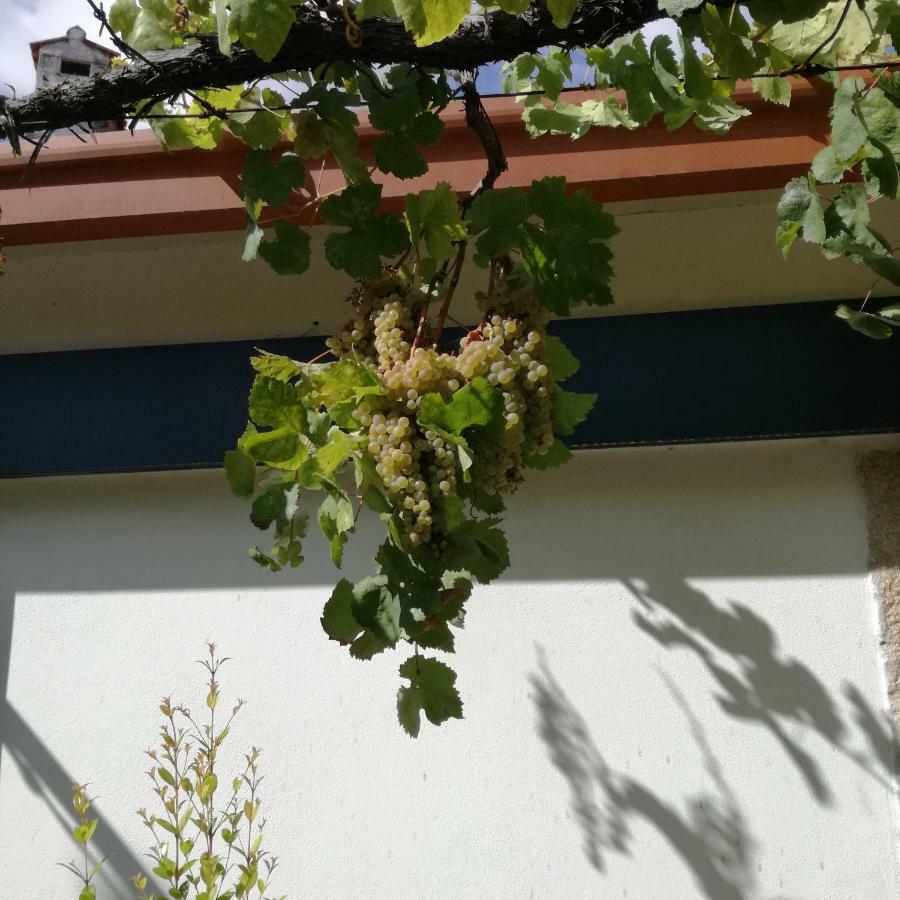 דירות Vitorino dos Piães Casa Na Quinta De Valinhas מראה חיצוני תמונה